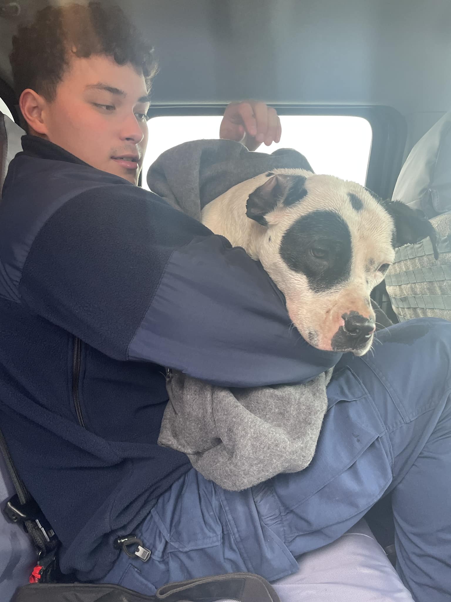 A Coast Guard crew comes to the rescue of a "grateful" dog trapped in icy waters, showcasing the lifesaving efforts and the bond between humans and animals. - Puppies Love
