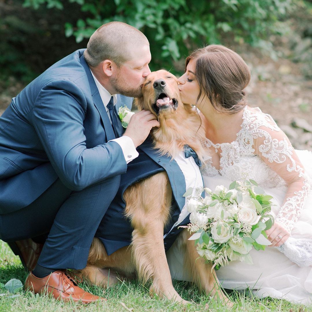 Miraculous Wedding Day: Nico, the dog, returns after 530 days of separation, overwhelming the family and guests with a storm of emotions. - Puppies Love - Breaking USA News